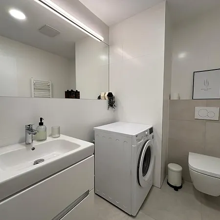 Dvojizbovy V Centre *