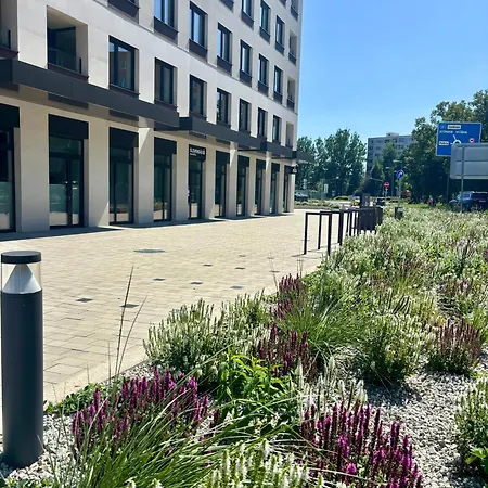 Lägenhet Dvojizbovy V Centre *