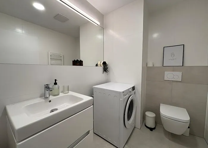 Dvojizbovy V Centre *